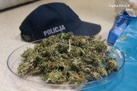 czapka policyjna a obok niej zabezpieczona marihuana