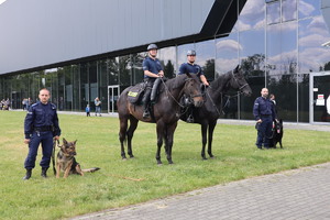 Policjanci na koniach oraz policyjnymi psami