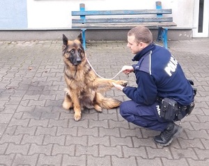 policjant z psem przed budynkiem